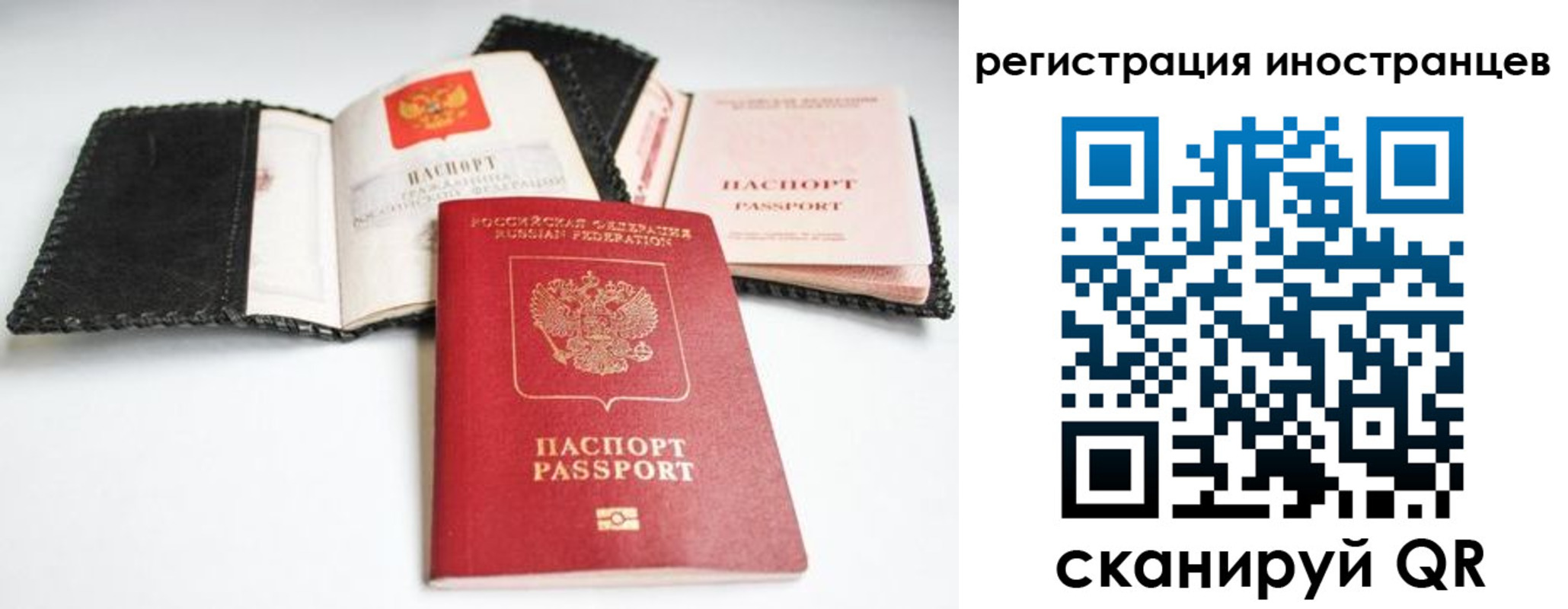 прописка гарантия в Стародубе